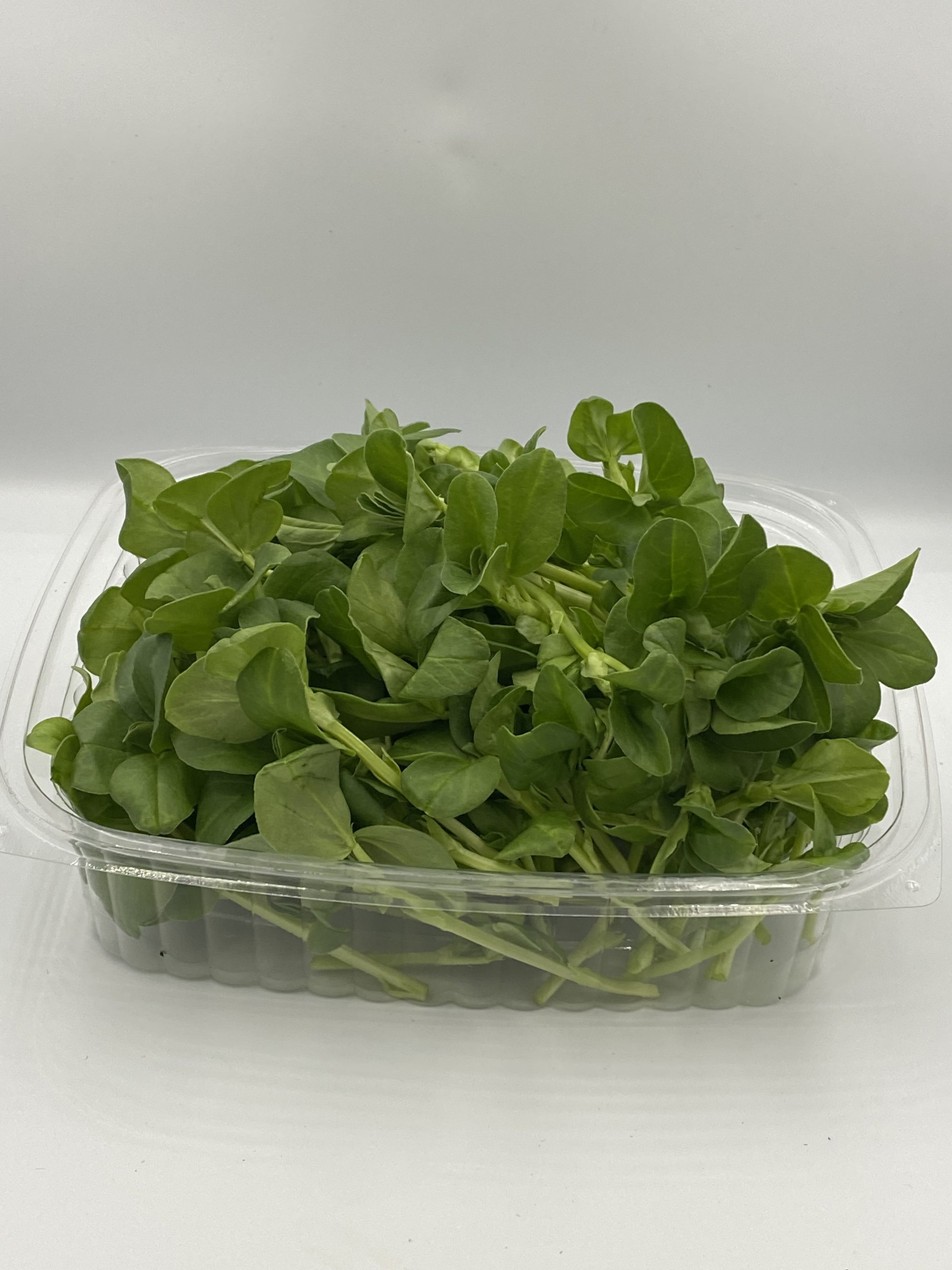 Fava Beans Microgreens - 50 g