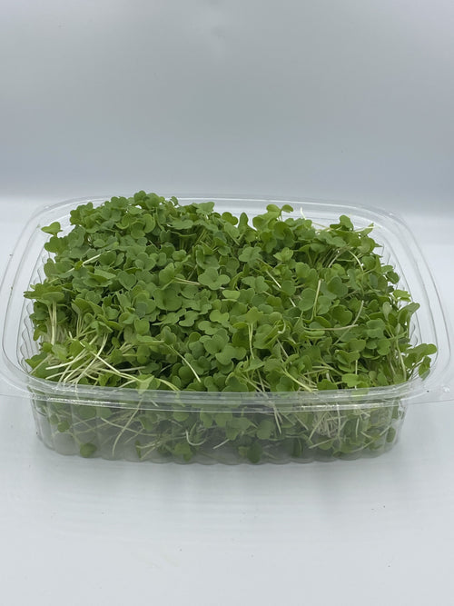 Broccoli Microgreens - 50 g