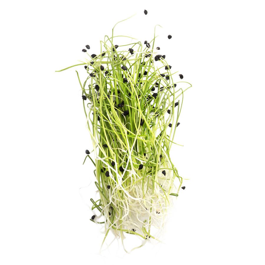 Micro Leek