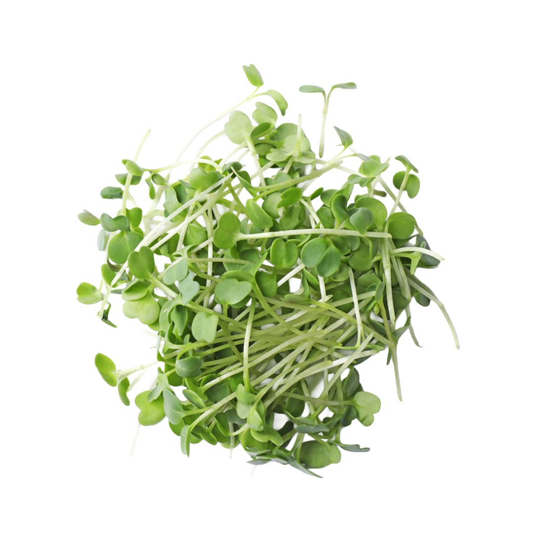 Mustard, Wasabi Microgreens - 50g