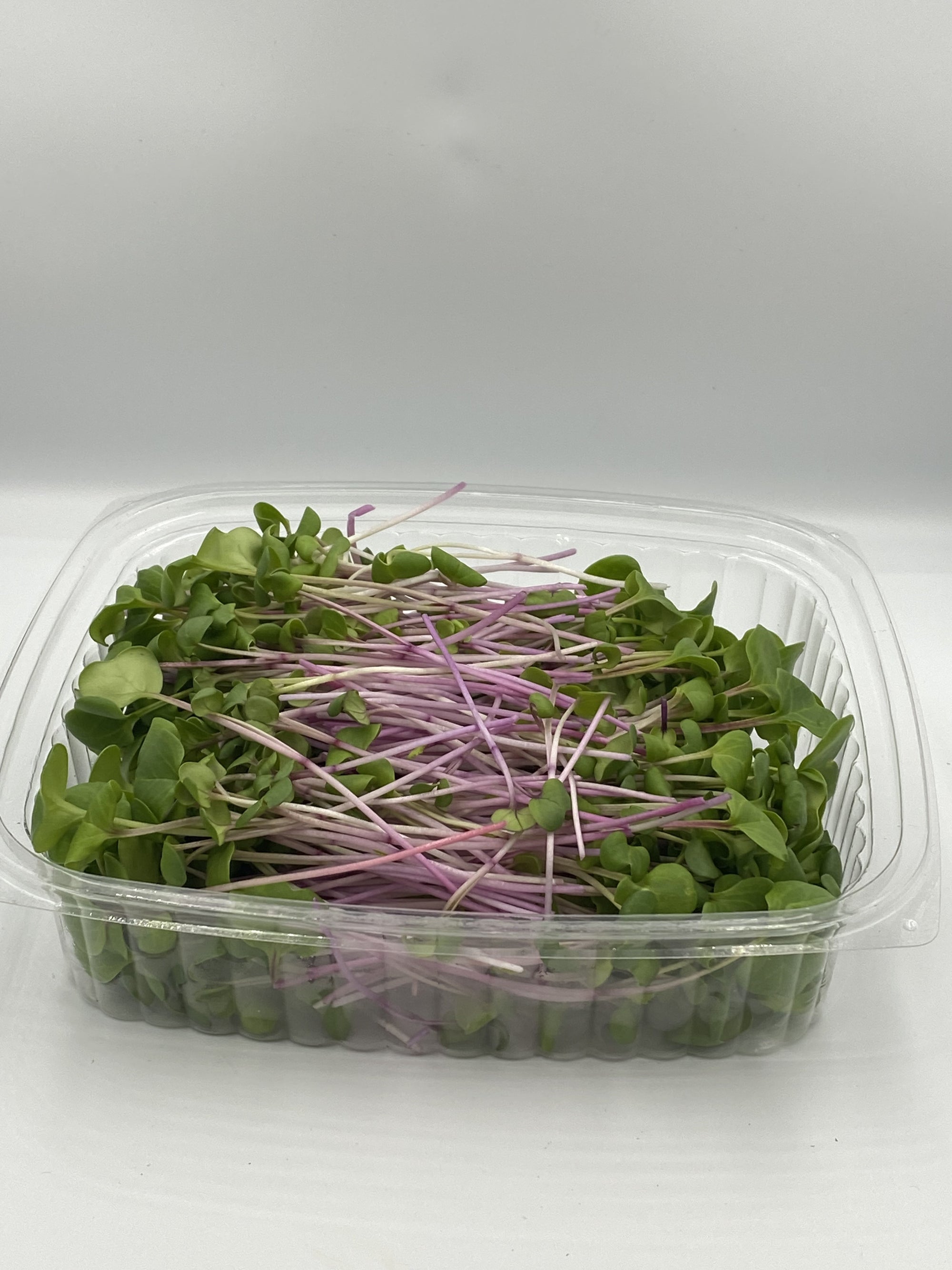 Radish Microgreens - 75g